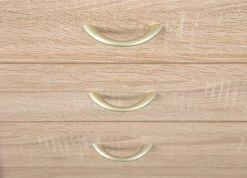 Caisson à Tiroirs Frits - Chêne Sonoma -Meubles Tables Et Chaises Shop 19300100 05 5115