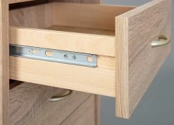 Caisson à Tiroirs Frits - Chêne Sonoma -Meubles Tables Et Chaises Shop 19300100 09 6073