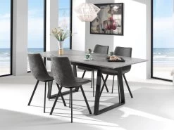 Chaise Norway - Gris -Meubles Tables Et Chaises Shop 9085 3 E a9af