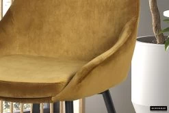 Chaise Mirano Métal/velours - Or -Meubles Tables Et Chaises Shop 9611 8 d2 653e