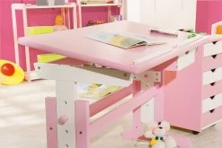Bureau Dana Plateau Inclinable - Rose 14 Bureau Dana Plateau Inclinable - Rose -Meubles Tables Et Chaises Shop 99800350 03 d096