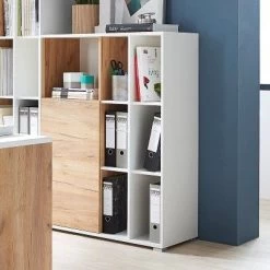 Bibliothèque & Armoire De Rangement Lloris Avec 1 Porte - Blanc/chêne