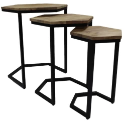 Table D'appoint Shera Ensemble De 3 Hexagonal Bois De Manguier - Naturel/noir