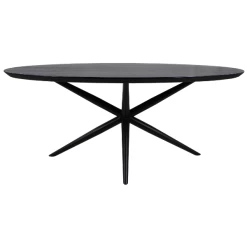 Table De Salle à Manger 180x100cm Bois D'acacia - Noir