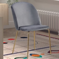 Chaise De Salle à Manger Lucinda-gris/or