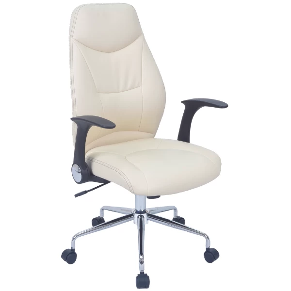 Fauteuil De Direction Brianna-blanc Mat 1 Fauteuil De Direction Brianna-blanc Mat