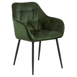 Chaise Avec Accoudoirs Lynn - Vert Forêt/noir