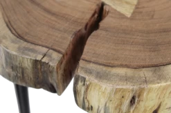 Table D'appoint Live Edge Moyen (tronc D'arbre)-acacia/fer -Meubles Tables Et Chaises Shop RW 101 3 cdad